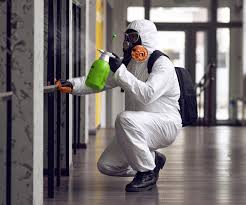 Biohazard Mold Removal in Evans, GA